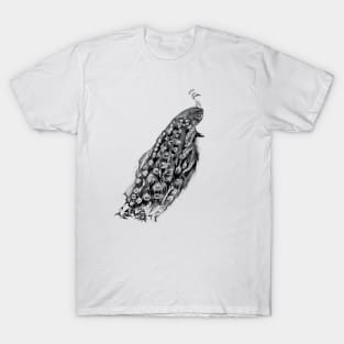 Black Peacock T-Shirt